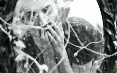 What are the Programs Behind Narcissism?